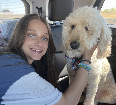 user-submitted homepage picture