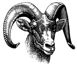 event logo