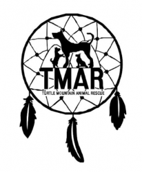 event logo